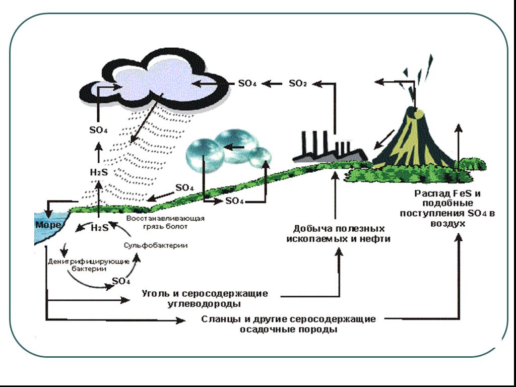 Кальций в биосфере. Биогеохимический цикл фосфора схема. Круговорот кальция в природе схема. Круговорот фосфора ( по п. Дювиньо и м. Тангу ). Схемы круговорота углерода, азота, серы, фосфора.