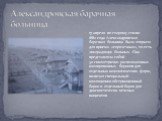 17 апреля по старому стилю 1882 года Александровская барачная больница была открыта для приема «горячечных», то есть лихорадящих больных. Она представляла собой 30 симметрично расположенных изолированных бараков для отдельных нозологических форм, включая специальный изоляционно-обсервационный барак 