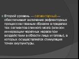 Второй уровень — сегментарный — обеспечивает включение рефлекторных процессов главным образом в пределах тех сегментов спинного мозга (или зон иннервации черепных нервов при воздействии в области лица и головы), в которых осуществляется стимуляция точек акупунктуры.