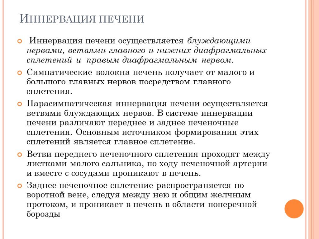 Кровоснабжение и иннервация. Иннервация печени анатомия. Иннервация печени осуществляется. Кровоснабжение и иннервация печени. Иннервация печени схема.