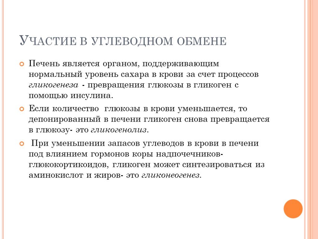 Участие углеводов в пластическом обмене. Участие в углеводном обмене. В обмене углеводов участвуют. Участие печени в обмене углеводов. Роль печени в углеводном обмене.