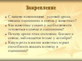 Закрепление. С какими изменениями условий среды связаны оцепенение и спячка у животных? Как животные узнают о необходимости готовиться к спячке и оцепенению? Почему среди птиц состояние, близкое к спячке, наблюдается только у колибри? Какую роль в жизни животных играет способность впадать в спячку и