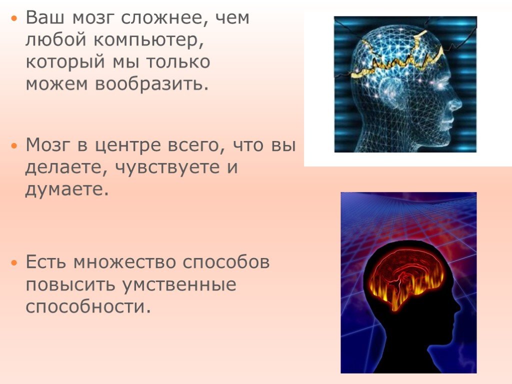 Факты про мозг