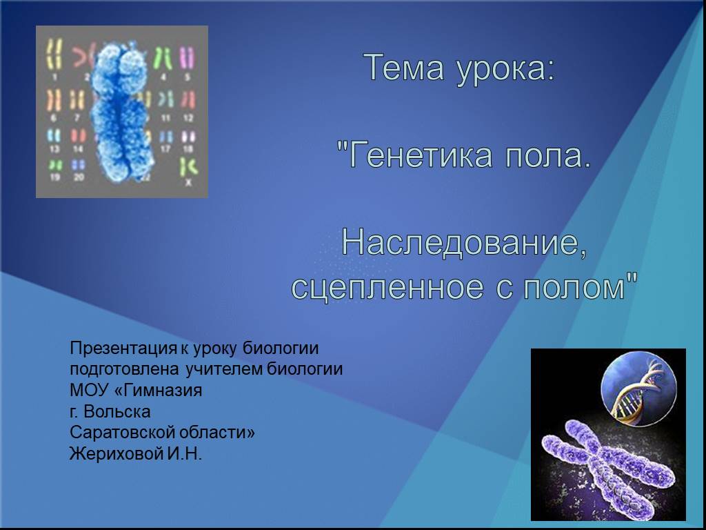 Генетика пола 10 класс биология презентация. Генетика пола и наследование сцепленное с полом. Генетика пола презентация. Презентация по генетике. Урок по теме генетика пола сцепленное с полом.