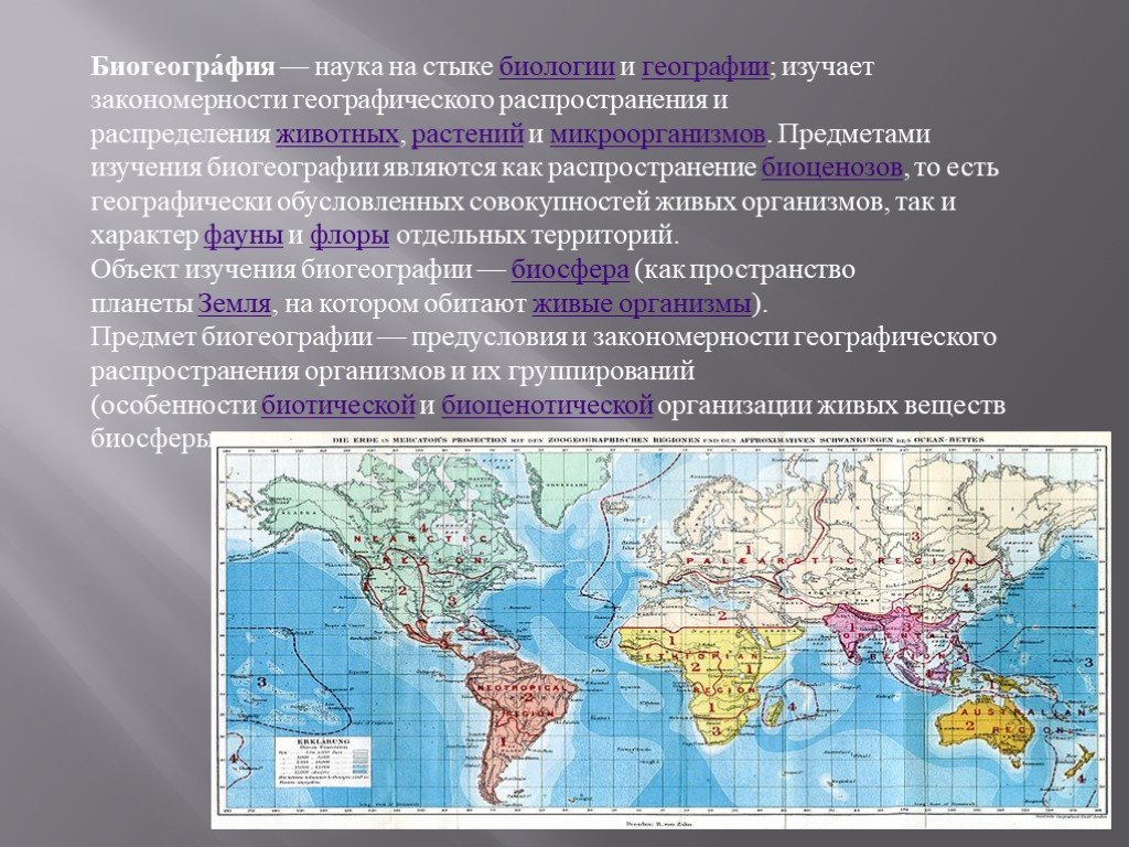 Биогеографическая картина мира