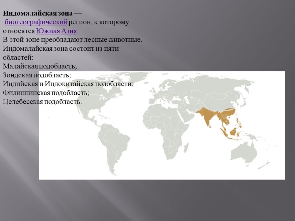 Индо малайская область презентация