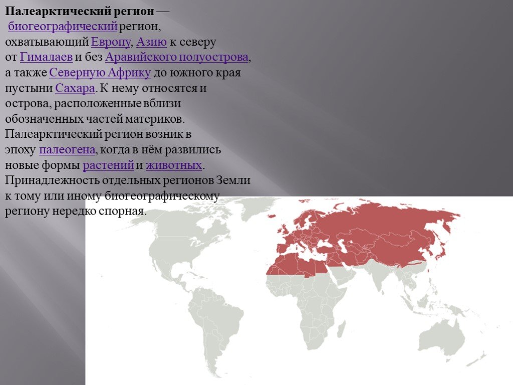 Регион европы и азии. Палеарктический регион. Палеарктическая область презентация. Палеарктическая зона. Палеарктическое царство Флора.