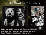 Belka and Strelka made a flight 19 august 1960. After daily flight they came back and achieved the world fame. Then they lived happily in the aviary. The World’s Celebrities