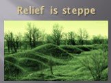 Relief is steppe