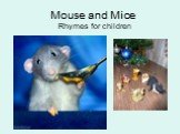 Mouse and Mice Rhymes for children