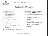 Auditable Entities. WE DO AUDIT Operations and compliance Departments Colleges or Schools Programs, Grants, Contracts Information Technology Systems University-wide Processes. WE DO NOT AUDIT Specific individuals Human Resource issues Sexual harassment or other civil rights issues