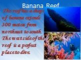 Banana Reef. The reef has a shape of banana extends 300 meters from northeast to south. The west side of the reef is a perfect place to dive.