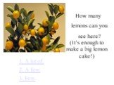 How many lemons can you see here? (It’s enough to make a big lemon cake!)