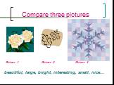 Compare three pictures. Picture 1 Picture 2 Picture 3 beautiful, large, bright, interesting, small, nice…