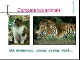 Compare two animals. old, dangerous, young, strong, weak…