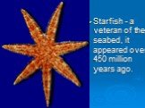 Starfish - a veteran of the seabed, it appeared over 450 million years ago.