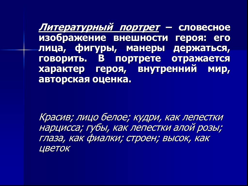 Как называется изображение внешности героя в литературном