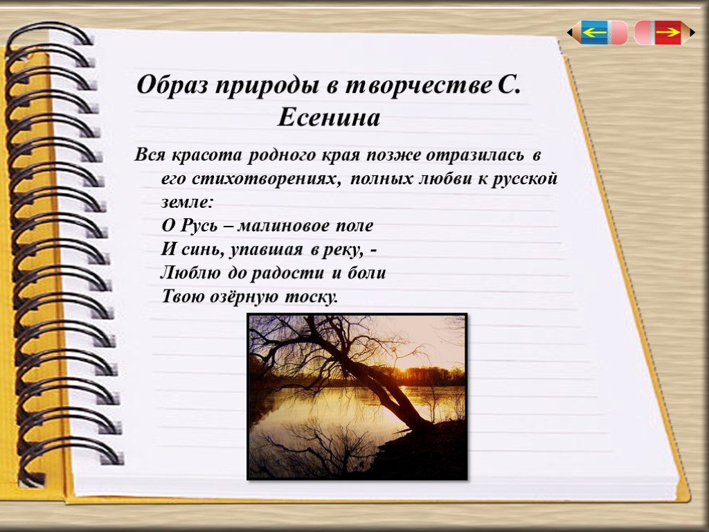 Образы природы в литературе. Образы природы в литературе картинки. Образ русской природы в литературе. Образ природы в произведениях русской литературы.