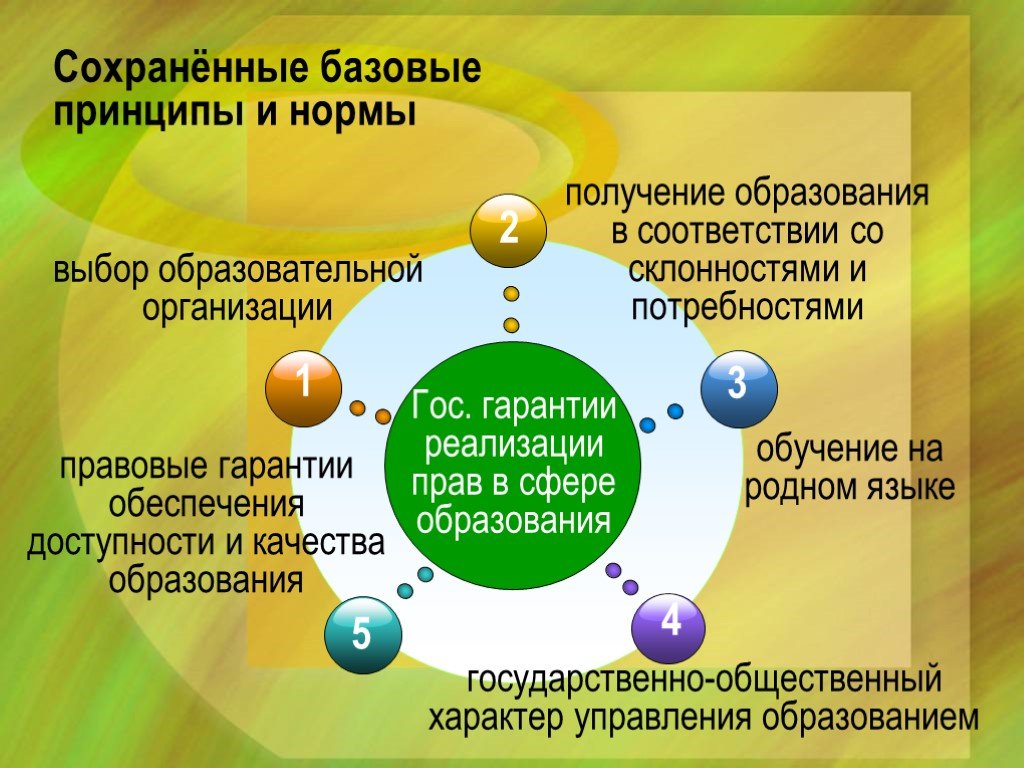 Право получения образования на родном языке. Принципы и горантии об образование в РХ. Гос гарантии в сфере образования РФ. Российские правовые нормы в сфере образования. Базовые принципы и нормы образовательного права.