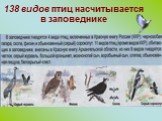 138 видов птиц насчитывается в заповеднике