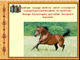 Арабская лошадь является самой популярной породой для соревнований по пробегам. Лошадь была создана для скачки быстрой и короткой.