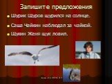 Запишите предложения. Шурик Щуров щурился на солнце. Саша Чайкин наблюдал за чайкой. Щукин Женя щук ловил.