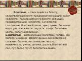 Болотный - относящийся к болоту, свойственный болоту; предназначенный для работ на болоте, передвижения по болоту; живущий, произрастающий на болоте. Сочетается со словами: болотный запах, цвет, туман; болотная вода, растительность, сырость, птица; болотные цветы, сапоги, испарения. Болотистый - изо