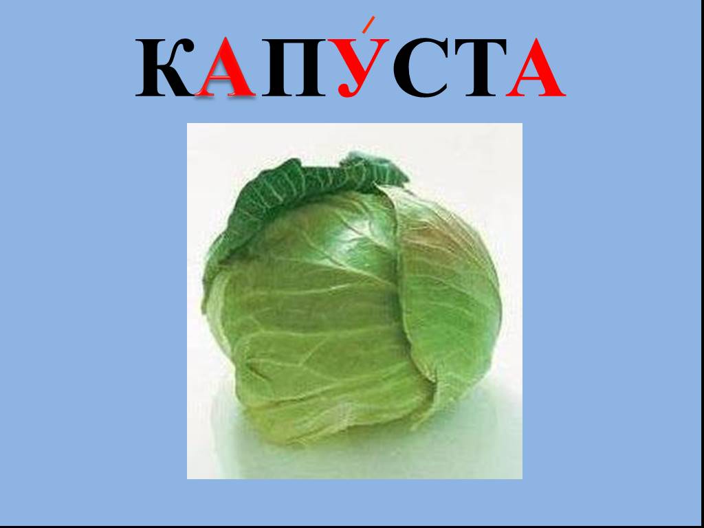 Капуста варианты слов. Капуста словарное слово. Капуста словарь. Словарное слово капуста в картинках. Текст про капусту.