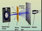 Экспериментальная установка. свинцовый контейнер, содержащий крупицу радия. радиоактивное вещество (источник α-частиц) - узкий пучок альфа-частиц - тонкая металлическая фольга - экран, покрытый сульфидом цинка; каждая альфа-частица, попавшая на экран, вызывает вспышку. Эти вспышки наблюдались глазом