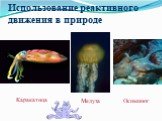 Использование реактивного движения в природе. Каракатица Медуза Осиминог