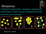 2. Какой из рисунков наиболее правильно показывает каплю воды в микроскопе при сильном увеличении? 1 2 3 4. Правильный ответ №1