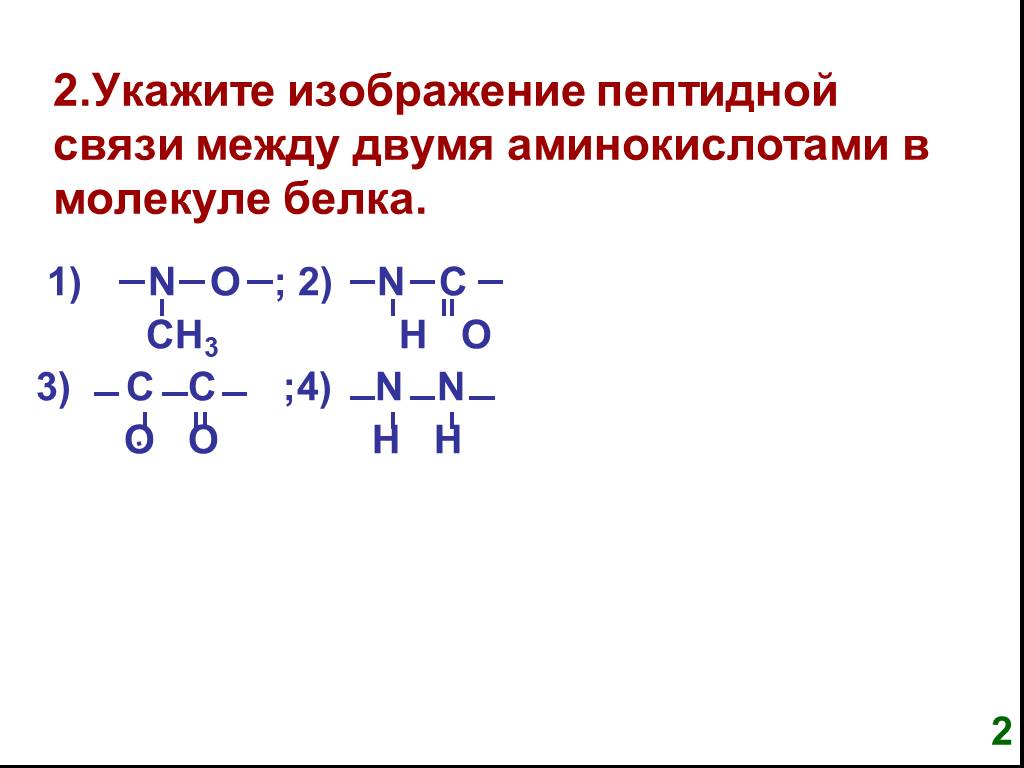 Связь c n. Укажите пептидную связь. Пептидная связь между двумя аминокислотами в молекуле. Связи между аминокислотами в молекуле белка. Пептидная связь между аминокислотами.