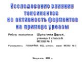 Исследование влияния токсикантов на активность ферментов на примере уреазы. Работу выполнила Шульгина Дарья, ученица 8 класса Б МСОШ № 3 Руководитель: ПУЗЫРЁВА М.Д., учитель химии МСОШ № 3 Магдагачи, 2008 г.