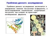 Проблема данного исследования. Проблема данного исследования заключается в определении влияния токсикантов на ферменты, а также определение минимальной концентрации токсиканта, при которой не происходит ингибирование фермента