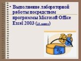 Выполнение лабораторной работы посредством программы Microsoft Office Excel 2003 (25 минут)