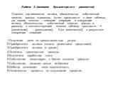 Задача 2 (основное бухгалтерское равенство). Укажите, как изменятся активы, обязательства собственный капитал, доходы и расходы (ответ представьте в виде таблицы, где первая колонка – описание операции, а следующие – активы, обязательства, собственный капитал, доходы и расходы; в соответствующей кол