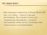 Что такое мхи?... Мхи впервые появились на Земле более 350 млн. лет назад — намного раньше динозавров. Они входят в группу так называемых бриофитов, к которой принадлежат также менее знакомые нам печеночники и антоцеротовые.