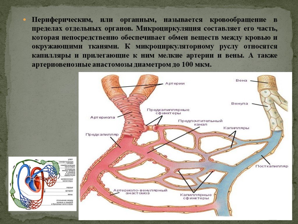 Нарушение периферического венозного кровообращения