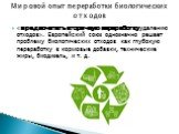 «предпочитать вторичную переработку удалению отходов». Европейский союз однозначно решает проблему биологических отходов как глубокую переработку в кормовые добавки, технические жиры, биодизель, и т. д. Мировой опыт переработки биологических отходов