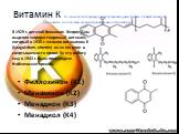 Витамин К По химической природе является производным 2-метил-1,4-нафтохинона и различаются количеством изопреноидных звеньев в боковой цепи. Филлохинон (K1) Менахинон (K2) Менадион (K3) Менадиол (K4). Менадион. В 1929 г. датский биохимик Хенрик Дам выделил жирорастворимый витамин, который в 1935 г. 