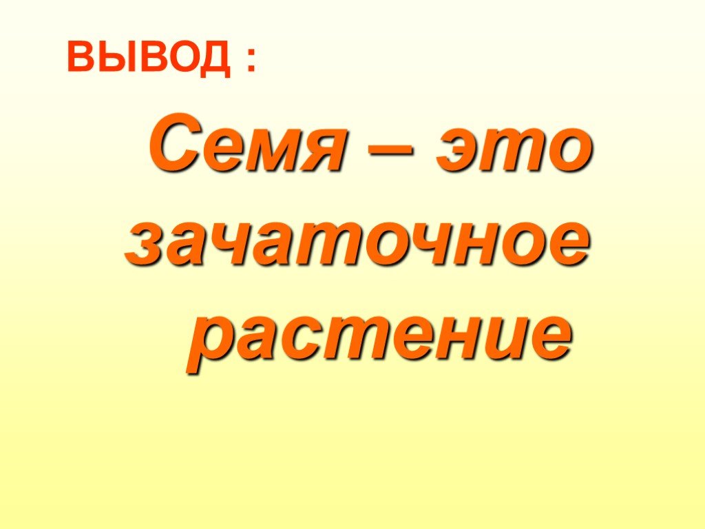 Почему семена называют зачаточными. Семя презентация. Вывод семеноводство. Семя это зачаточное растение. Семя 5 класс презентация.