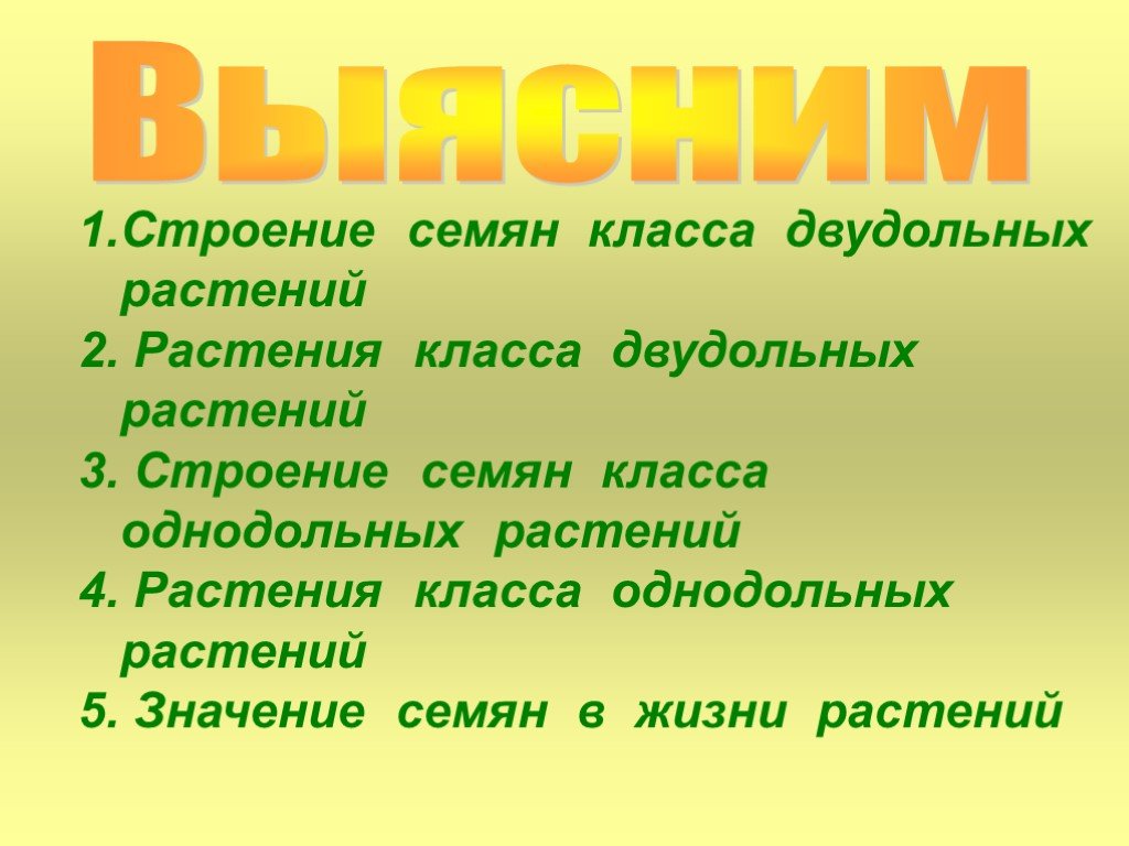 Строение семени презентация биология 6 класс