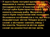 У нього були потужні щелепи, що видавали в ньому хижака, близько посаджені очі і м'язистий хвіст. Гострі зуби були пристосовані, щоб хапати слизьку рибу. Веорятно, у нього були перетинки між пальцями. Основною особливістю є те, що його лодыжечные кістки більше всього схожі з кістками свиней, овець і