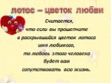 Считается, что если вы прошепчите в раскрывшийся цветок лотоса имя любимого, то любовь этого человека будет вам сопутствовать всю жизнь. лотос – цветок любви