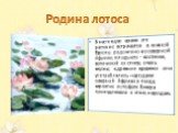 В настоящее время это растение встречается в южной Европе; родом оно из северной Африки; плоды его - костянки, величиной со сливу, очень вкусны; в древние времена они употреблялись народами северной Африки в пищу; вероятно лотофаги Гомера принадлежали к этим народам. Родина лотоса