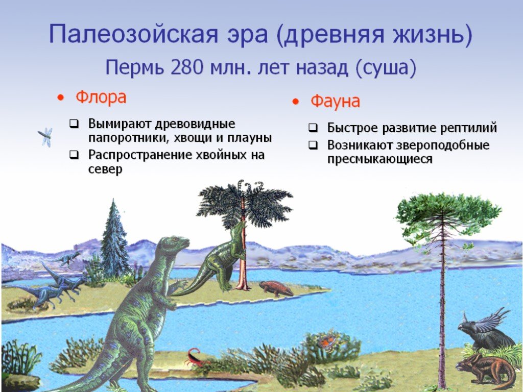 Эра 1 палеозой 2 мезозой. Пермский период палеозойской эры растения. Развитие жизни в палеозое. Эпохи палеозойской эры. Эволюция жизни в палеозойскую эру.