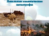 Локальные экологические катастрофы. http://www.cawater-info.net/all_about_water/wp-content/uploads/2012/02/Kladbische-korabley-Aralskogo-morya10.jpg. http://rapsinews.ru/images/26446/83/264468343.jpg