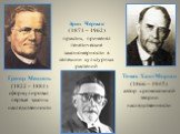 Грегор Мендель (1822 – 1884) сформулировал первые законы наследственности. Томас Хант Морган (1866 – 1945) автор хромосомной теории наследственности. Эрих Чермак (1871 – 1962) практик, применял генетические закономерности в селекции культурных растений