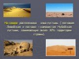 На севере расположена зона пустынь ( песчаная Ливийская и песчано – каменистая Нубийская пустыни, занимающие около 30% территории страны).
