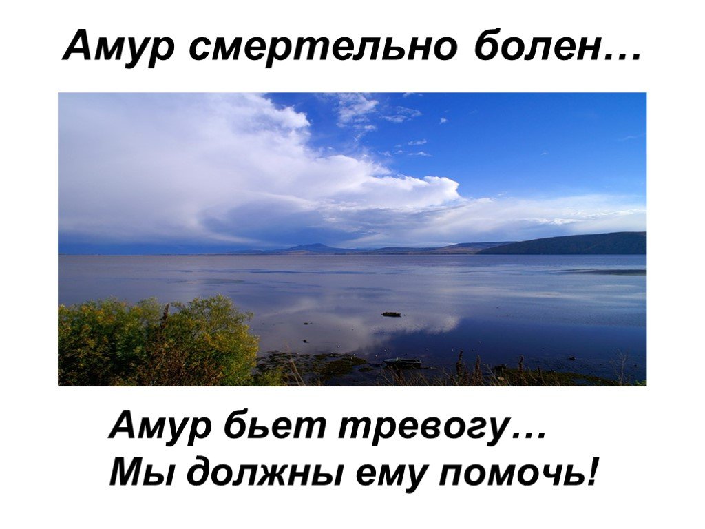 Величавый это. Проект на тему Амур величавый. Рассказ о красоте Амура. Написать сообщение на тему Амур. Амур Бей.